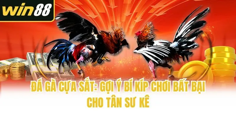 Đá Gà Cựa Sắt: Gợi Ý Bí Kíp Chơi Bất Bại Cho Tân Sư Kê