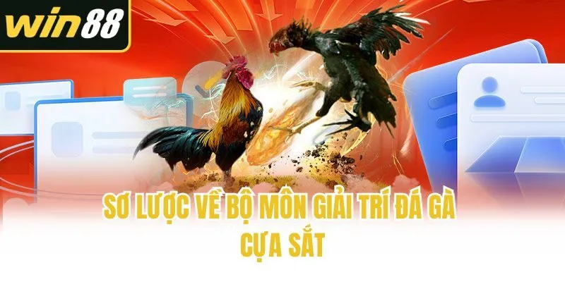 Sơ lược về bộ môn giải trí đá gà cựa sắt