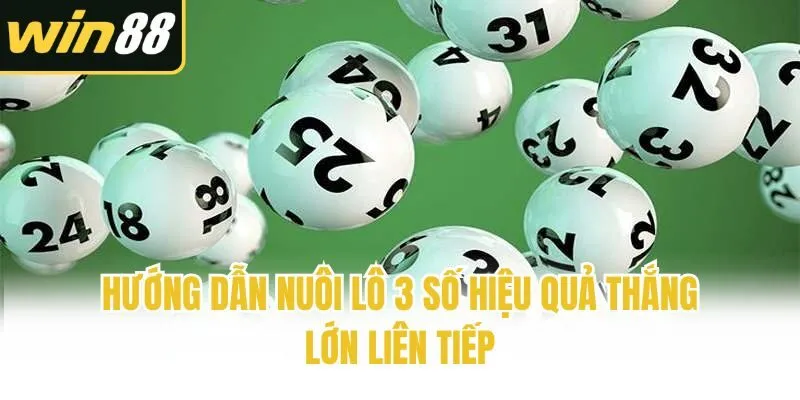 Hướng dẫn nuôi lô 3 số hiệu quả thắng lớn liên tiếp