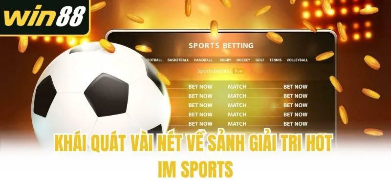 Khái quát vài nét về sảnh giải tri hot IM Sports